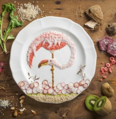 精美的食品艺术插画