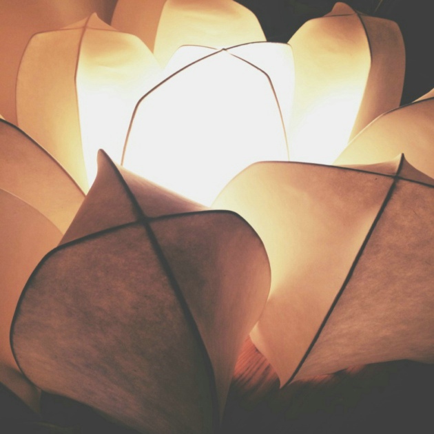 落入凡尘的星星：LEAN TO LIGHT