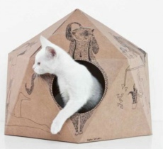 猫立方