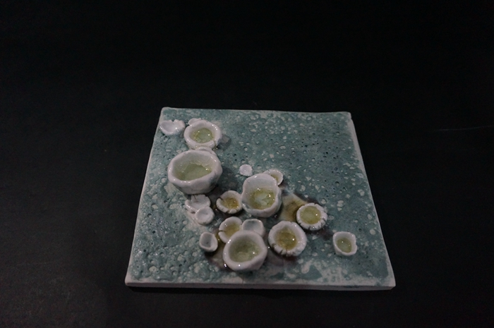 廿釉装饰画蘑菇系列