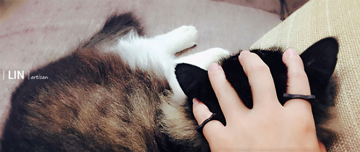 猫戒指