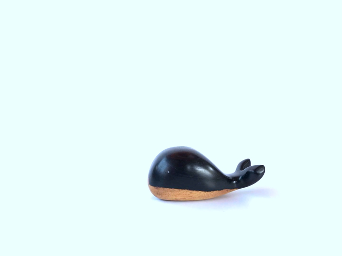 小鲸鱼