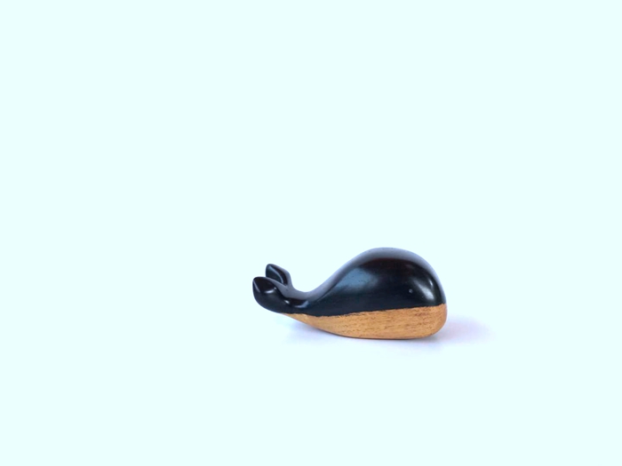 小鲸鱼
