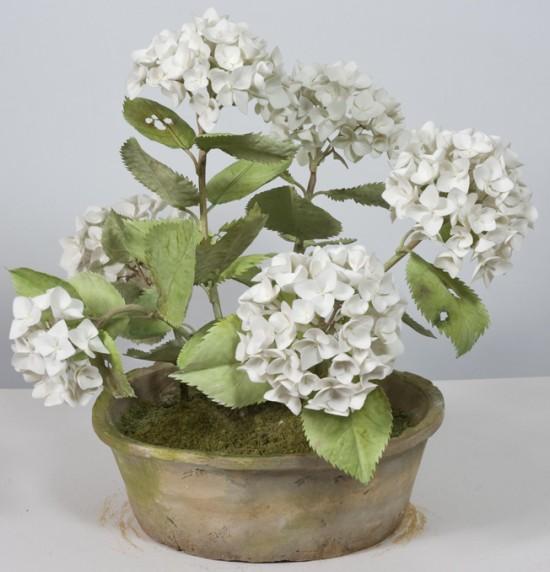 1456986295398732.jpg 1456986295398732.jpg