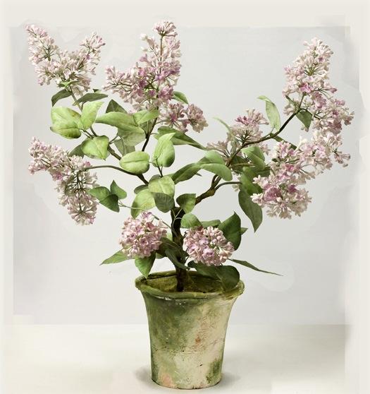 1456986295868854.jpg 1456986295868854.jpg