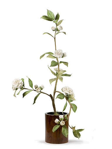 1457000514111172.jpg 1457000514111172.jpg