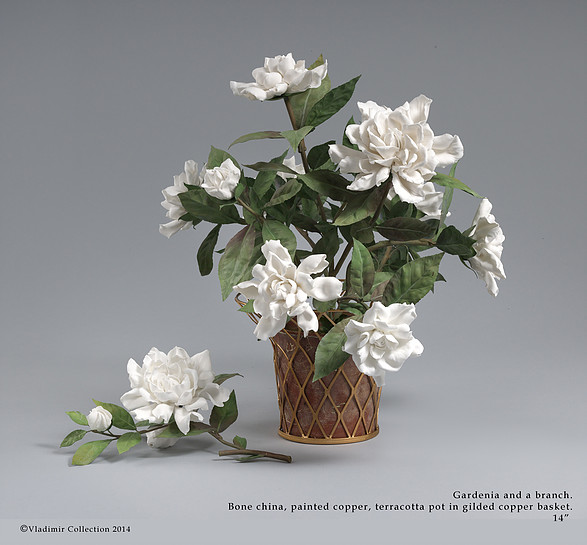 1457000514556099.jpg 1457000514556099.jpg