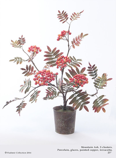 1457000516822122.jpg 1457000516822122.jpg