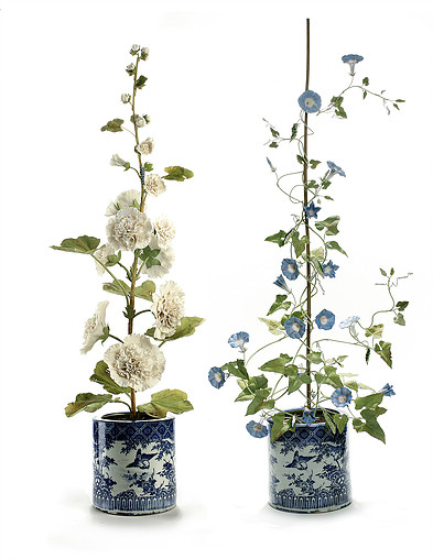 1457000517117756.jpg 1457000517117756.jpg