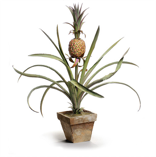 1457000517123230.jpg 1457000517123230.jpg