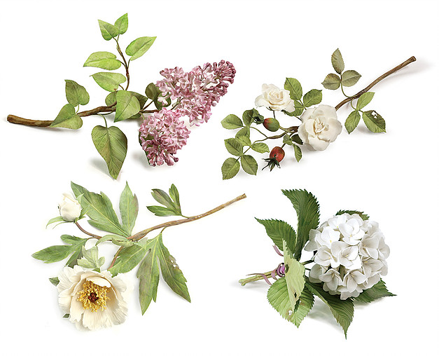 1457000517132008.jpg 1457000517132008.jpg