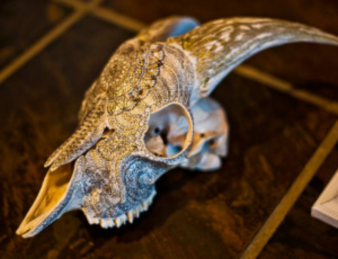 skull2-1-300x230.jpg