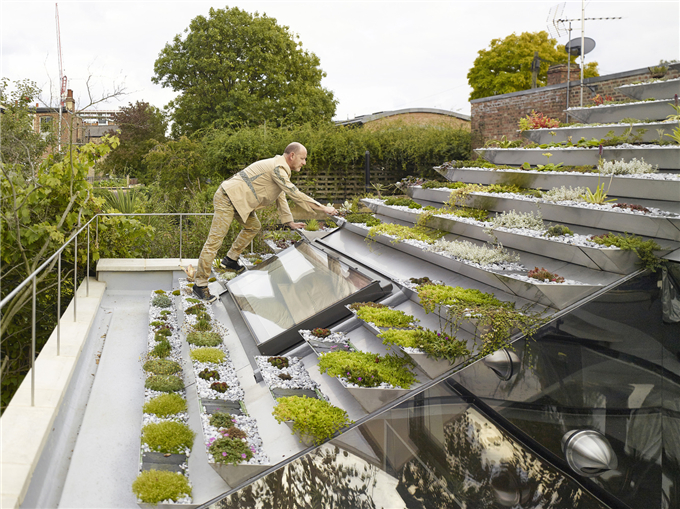 Garden_House_KILIAN_O'SULLIVAN_08.jpg
