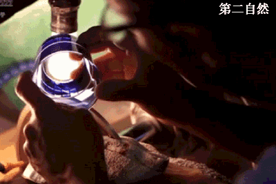 6.gif