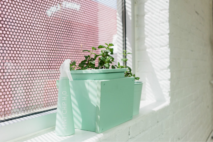 1495120389906372.jpg Museum_IceCream_042017_100_MD.jpg