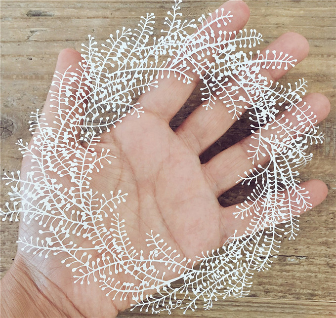 paper-6.jpg