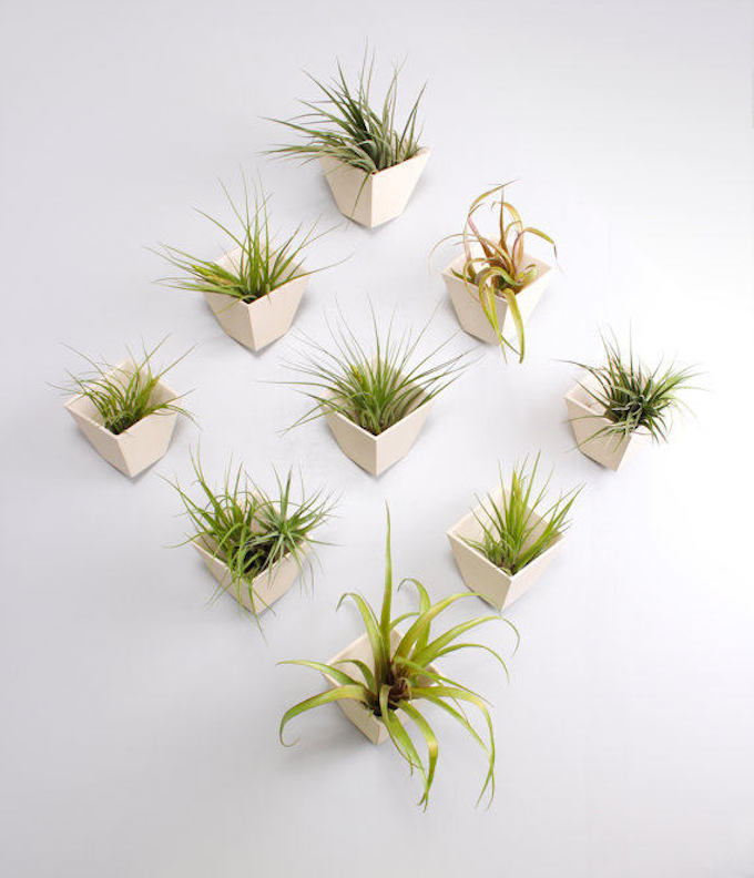蜂箱的种植器2.jpg
