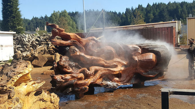 wood-chainsaw-giant-octopus-jeffrey-michael-samudosky-6-59c8e48e9647f__880.jpg
