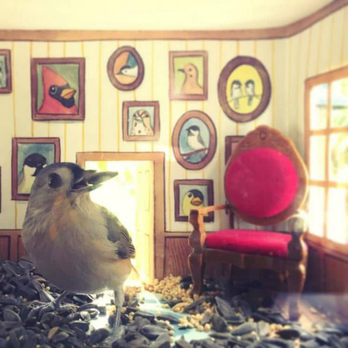 4-jada-fitch-chickadee-house.jpg