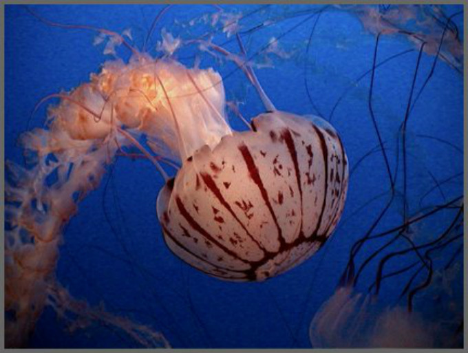weixintupian_20171228091957.jpg