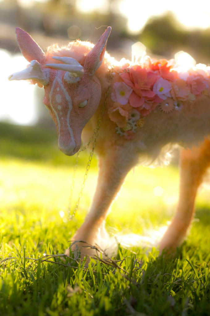 handmade_poseable_spring_deer_by_kaypeacreations-dazahjx-5a78c1d4d7b68__880.jpg
