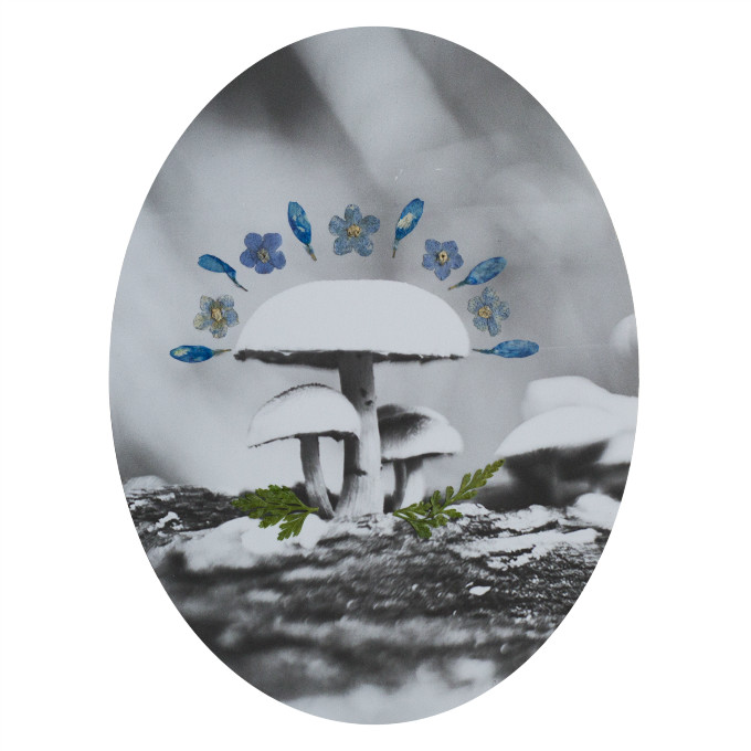 MummaMushroom.jpg