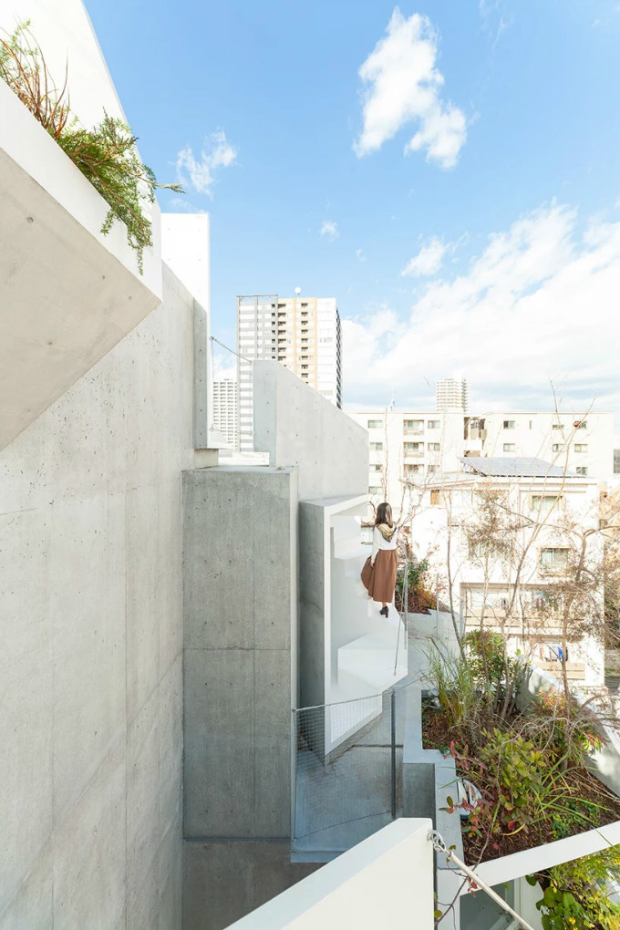 akihisa-hirata-tree-ness-house-otsuka-tokyo-japan-designboom-04.jpg