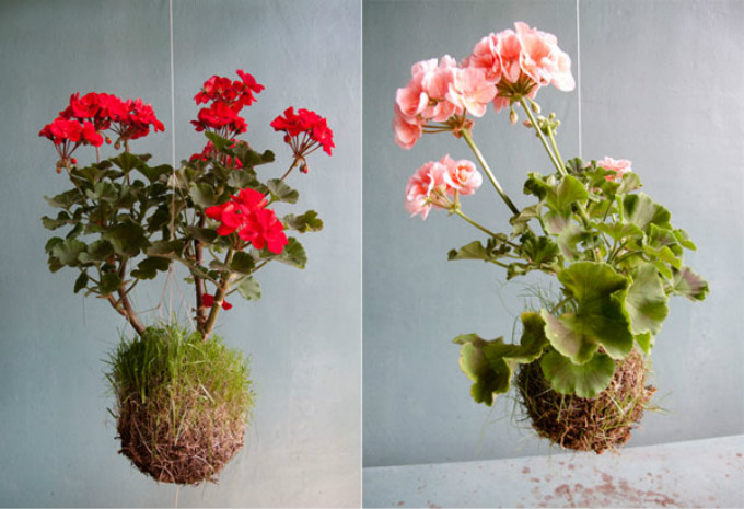 string-gardens-14.jpg