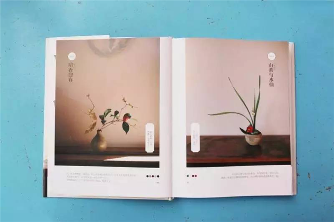 图片11.png