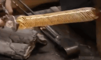 17.gif