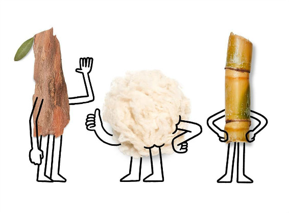 tree_wool_sugar_ca.jpg