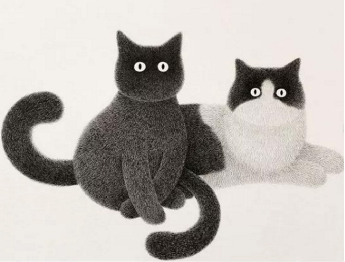 1561346257842437.jpg tupian17.jpg