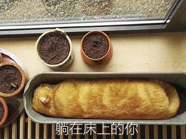 别人在海边，我被绑在床边看朋友圈...