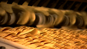15.gif