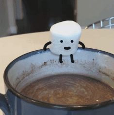 27.gif