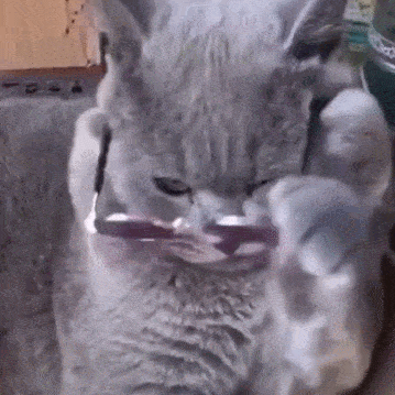 timg (3).gif