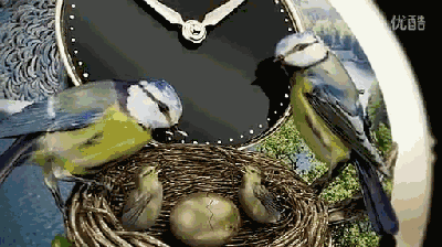 88d0043528d24458ab1975e6c82d2cd5.gif