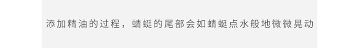 蜻蜓公众号（800）_10.jpg