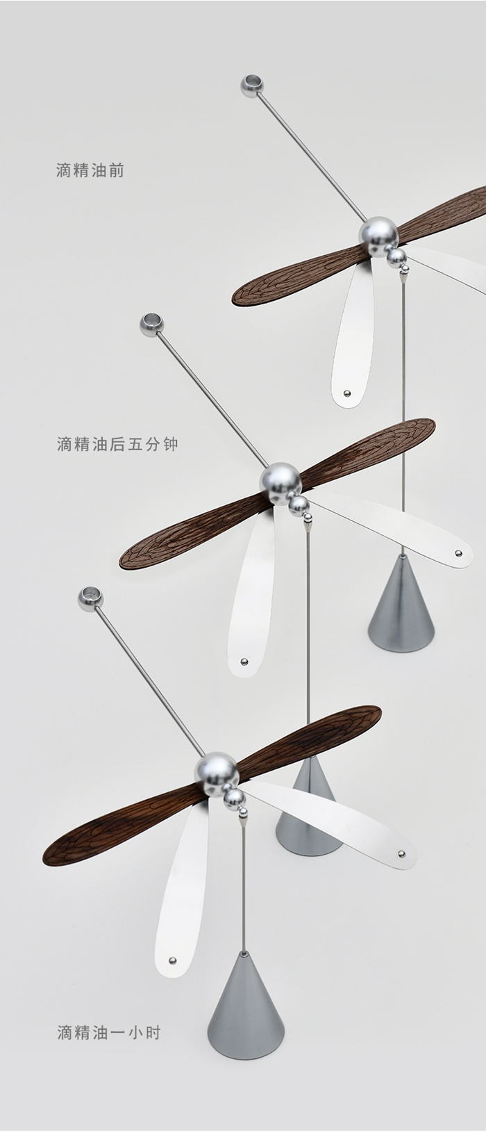 蜻蜓公众号（800）_15.jpg