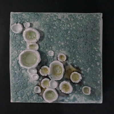 廿釉装饰画蘑菇系列