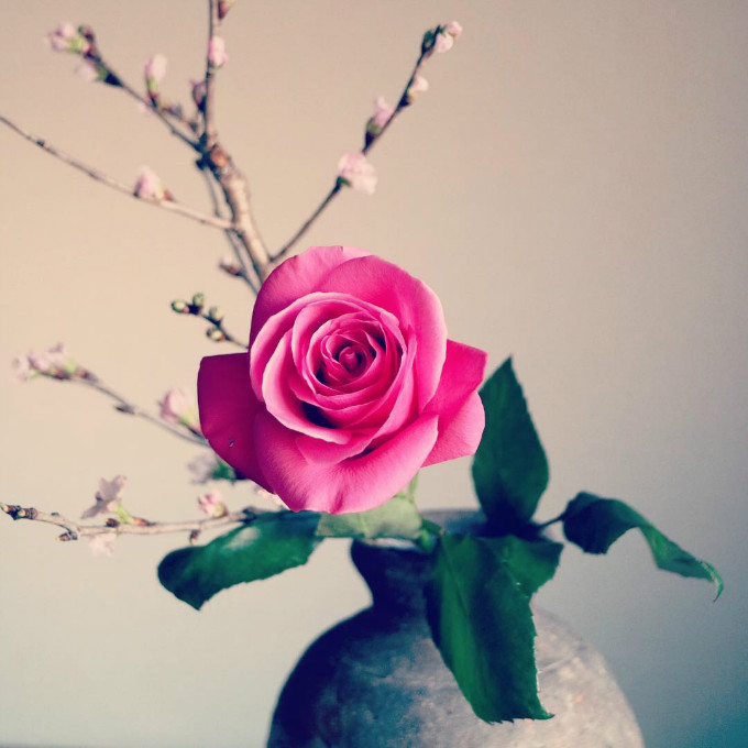 日式插花美学,三枝花打造一个流派