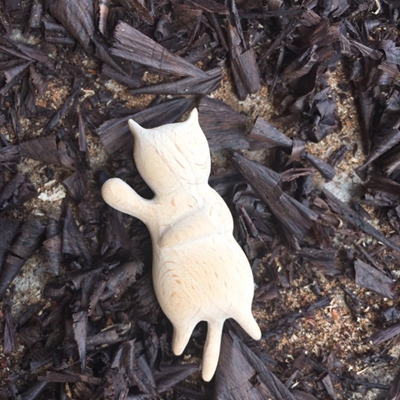 躺着的猫